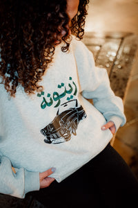 Zaytouna Origins